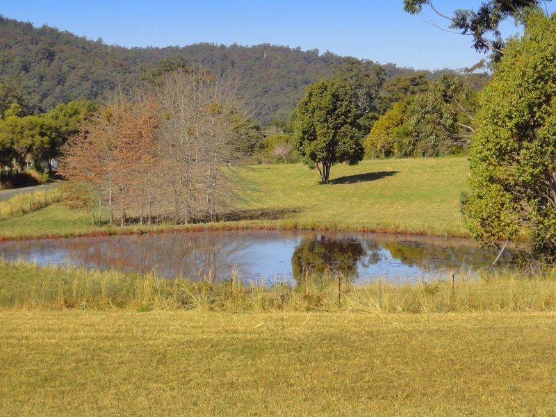 Lorne NSW 2439