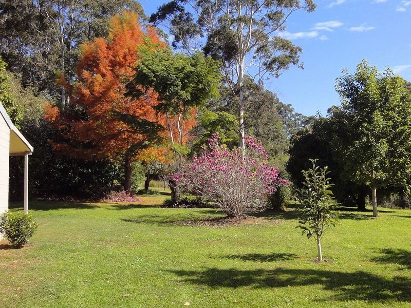 Lorne NSW 2439