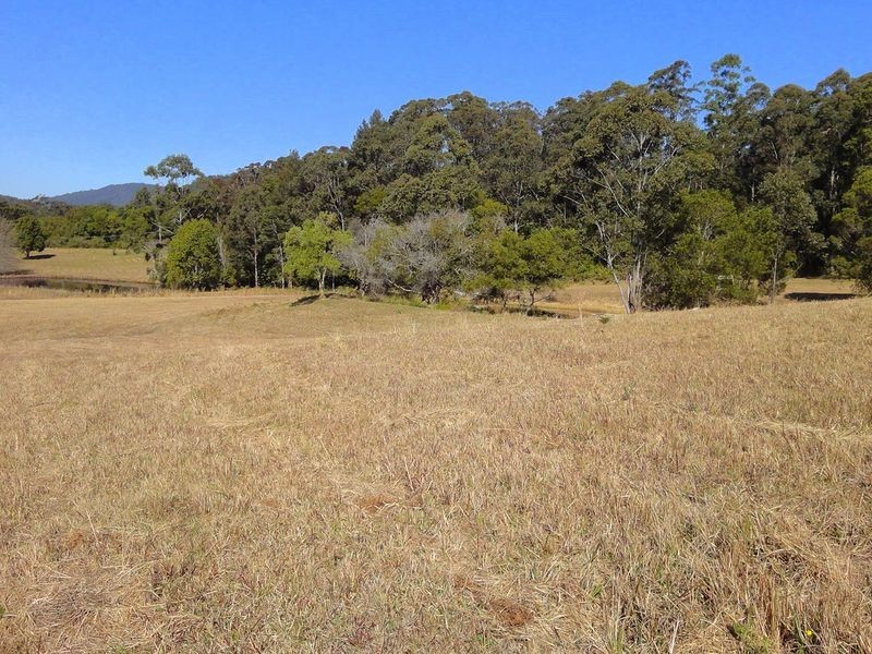 Lorne NSW 2439