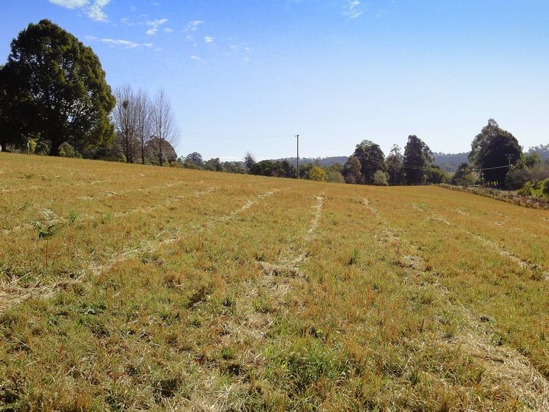 Lorne NSW 2439