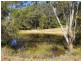 Lorne NSW 2439