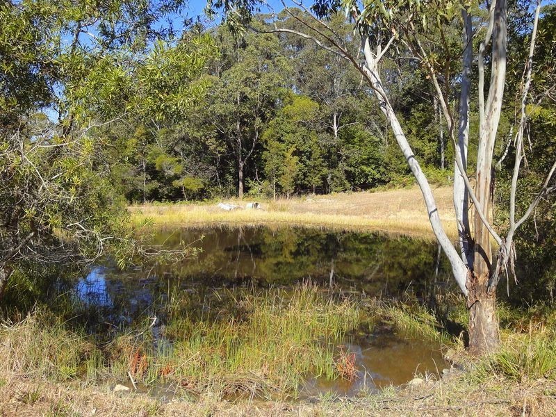 Lorne NSW 2439