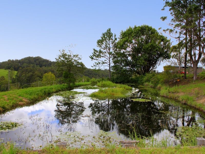 1715 Hannam Vale Road, Lorne NSW 2439