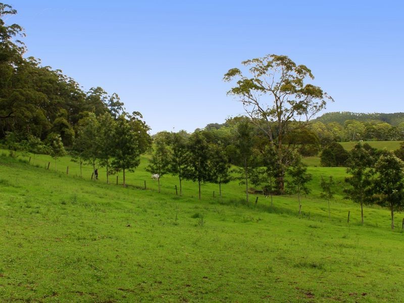 1715 Hannam Vale Road, Lorne NSW 2439