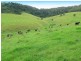 1052 Pipeclay Road, Pipeclay, Wauchope NSW 2446