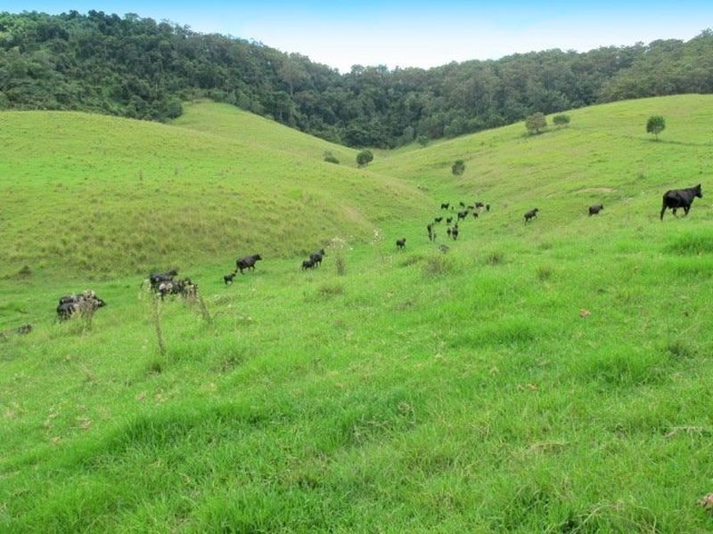 1052 Pipeclay Road, Pipeclay, Wauchope NSW 2446