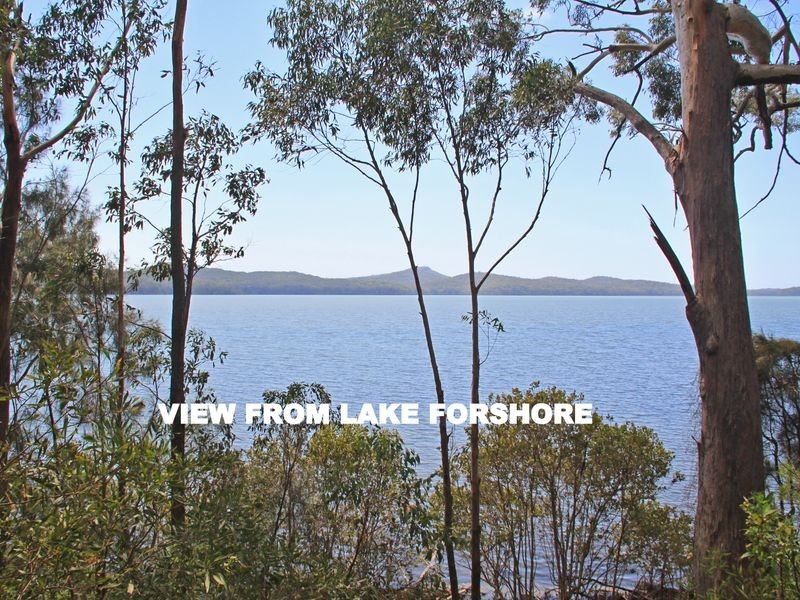 36 Sirius Drive, Lakewood NSW 2443