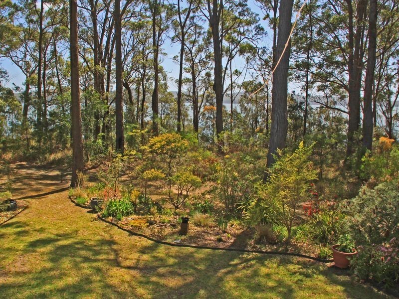 36 Sirius Drive, Lakewood NSW 2443