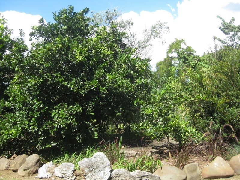 970 Pappinbarra Road, Pappinbarra, Wauchope NSW 2446