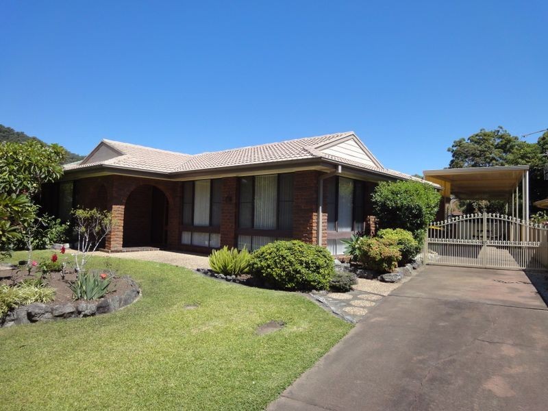 41 Sirius Drive, Lakewood NSW 2443