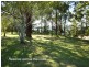 41 Sirius Drive, Lakewood NSW 2443
