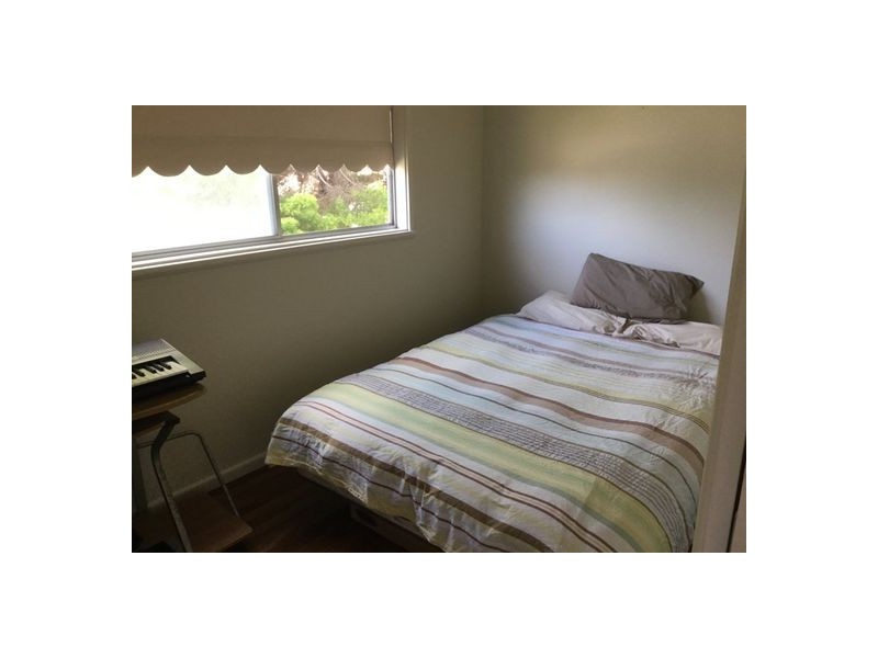 853 Ocean Drive, Bonny Hills NSW 2445