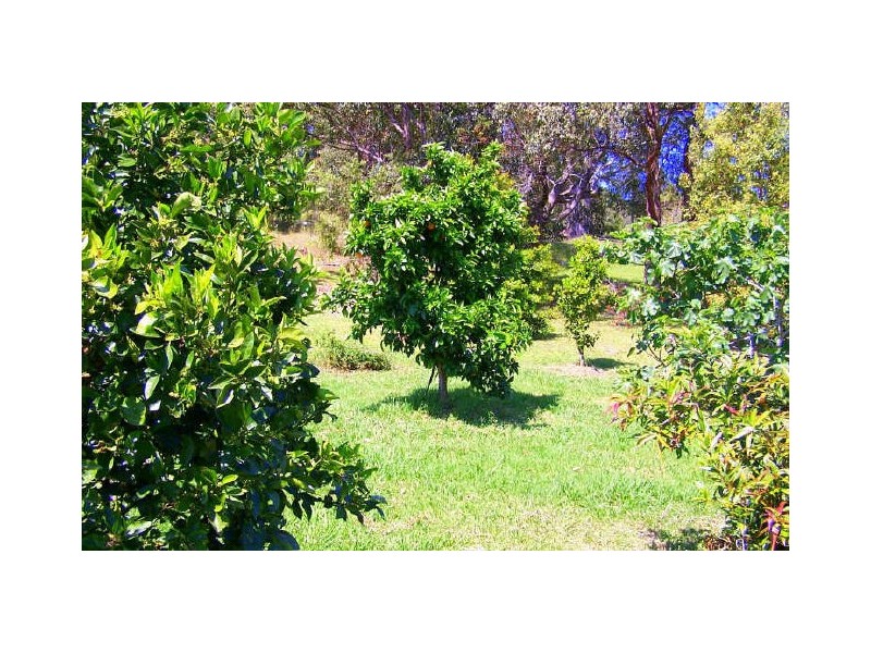West Haven NSW 2443