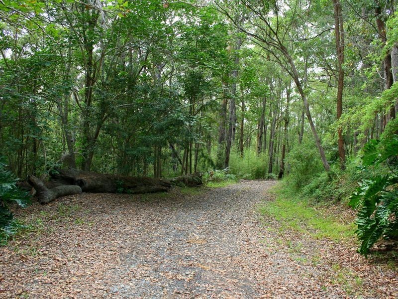 40 Ocean Drive, Kew NSW 2439