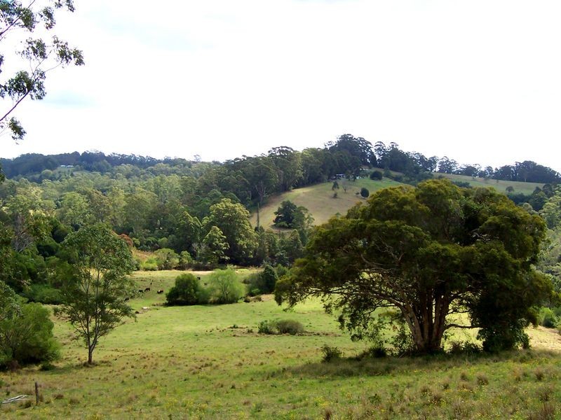 92 Roys Road, Lorne NSW 2439