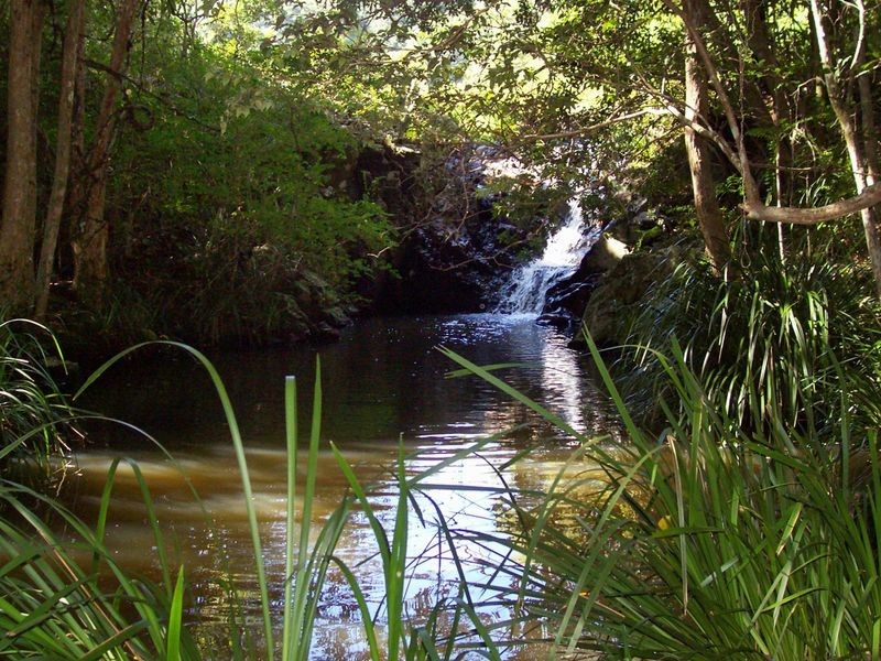 92 Roys Road, Lorne NSW 2439