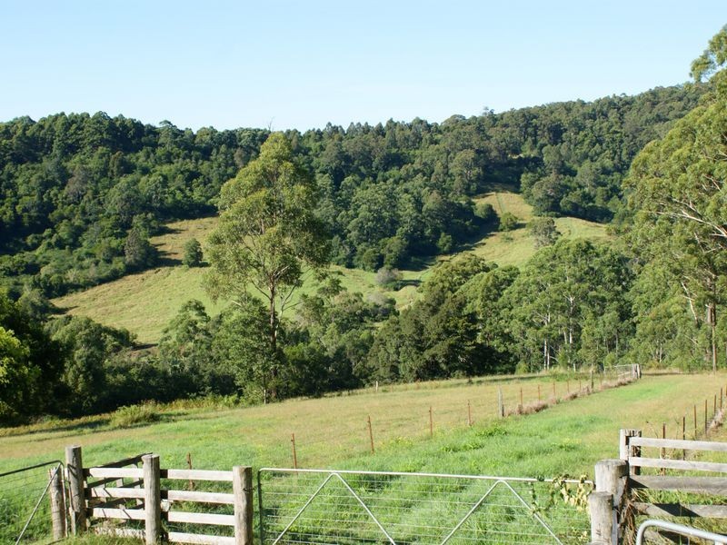 92 Roys Road, Lorne NSW 2439