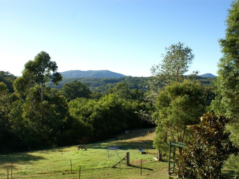 92 Roys Road, Lorne NSW 2439