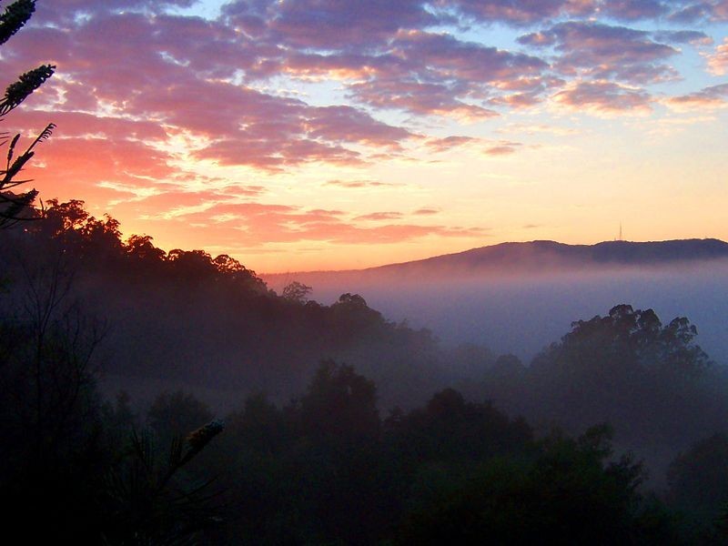 92 Roys Road, Lorne NSW 2439