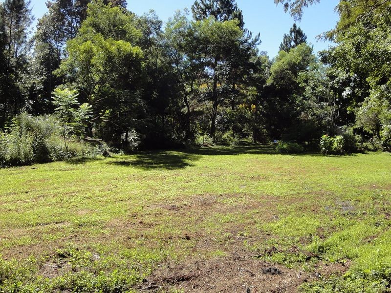 5 Fagans Crescent, Kendall NSW 2439