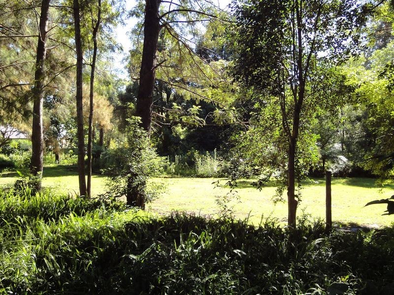 5 Fagans Crescent, Kendall NSW 2439