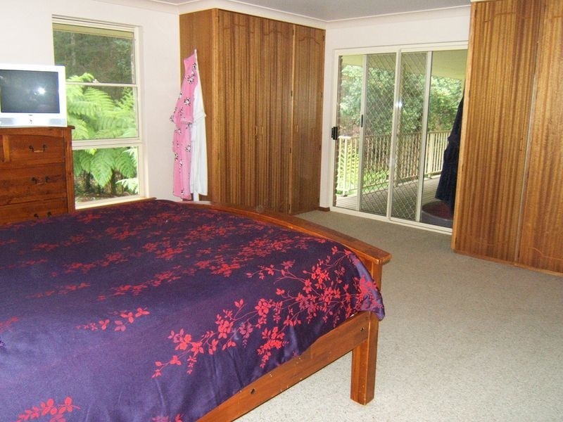 Kendall NSW 2439