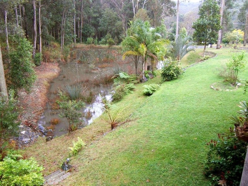 Kendall NSW 2439