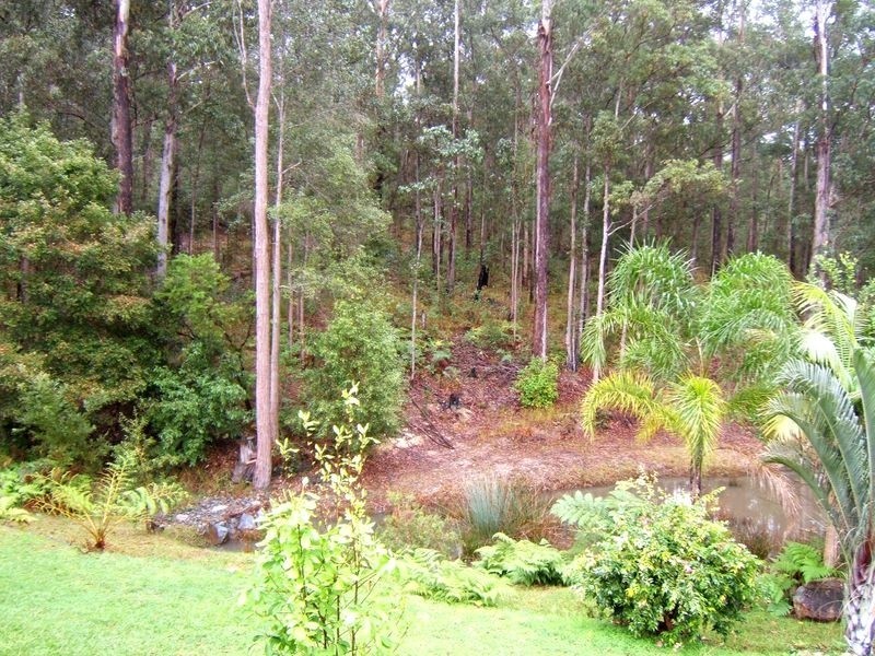 Kendall NSW 2439