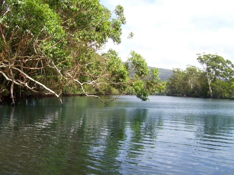 231 Wharf Road, Stewarts River NSW 2443