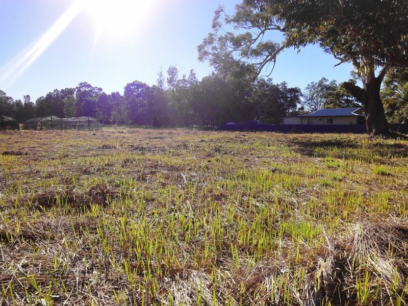 7 Beach Street, Dunbogan NSW 2443