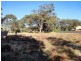7 Beach Street, Dunbogan NSW 2443