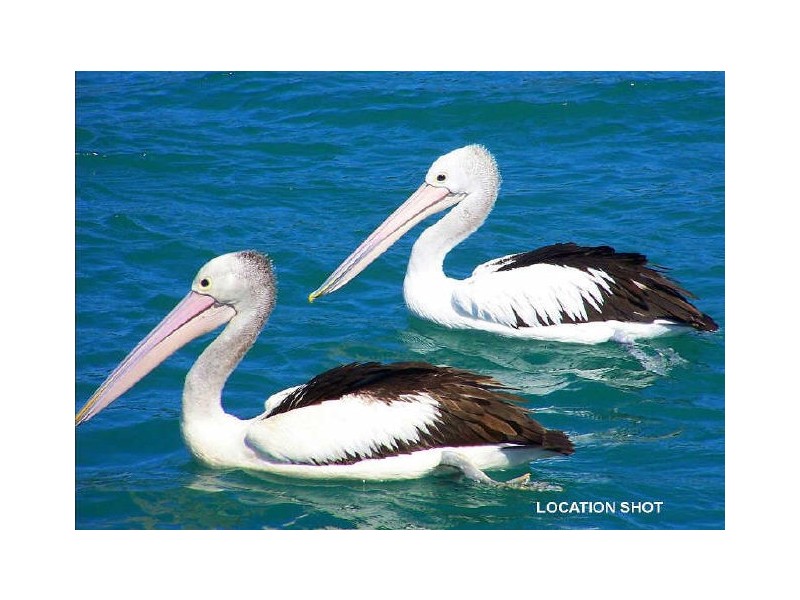 North Haven NSW 2443