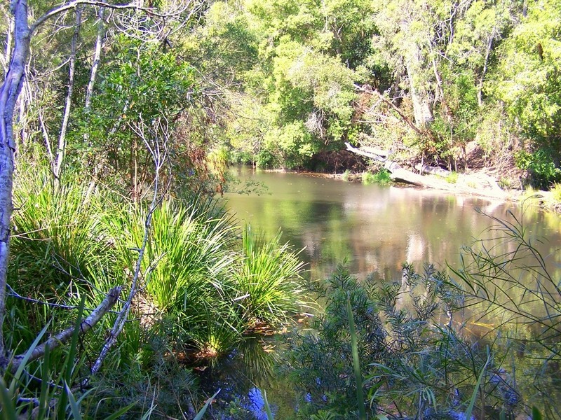 Logans Crossing NSW 2439