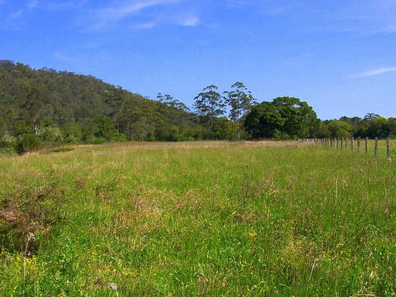 Logans Crossing NSW 2439