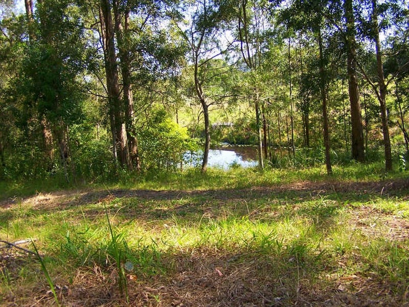 Logans Crossing NSW 2439