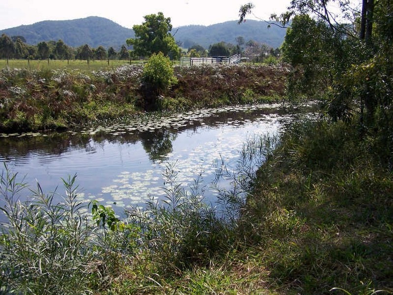 Logans Crossing NSW 2439