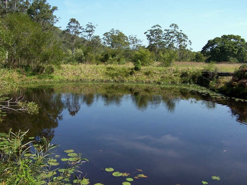 Logans Crossing NSW 2439