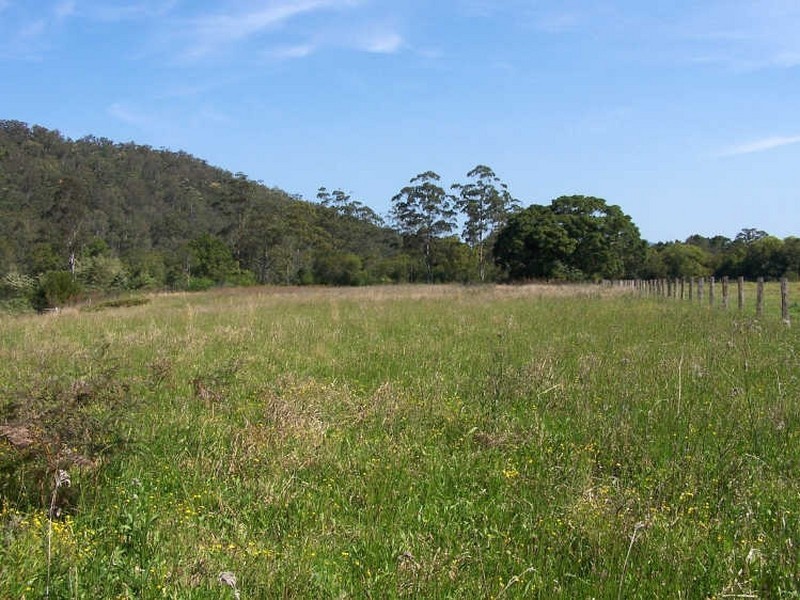 Logans Crossing NSW 2439