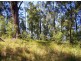 Lot 159/DP 754418 Batar Creek Road, Kendall NSW 2439