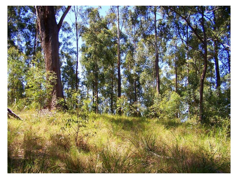 Lot 159/DP 754418 Batar Creek Road, Kendall NSW 2439