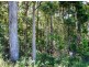 Lot 159/DP 754418 Batar Creek Road, Kendall NSW 2439