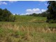 Lorne NSW 2439