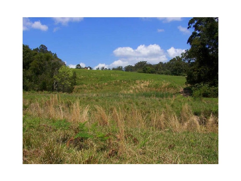 Lorne NSW 2439