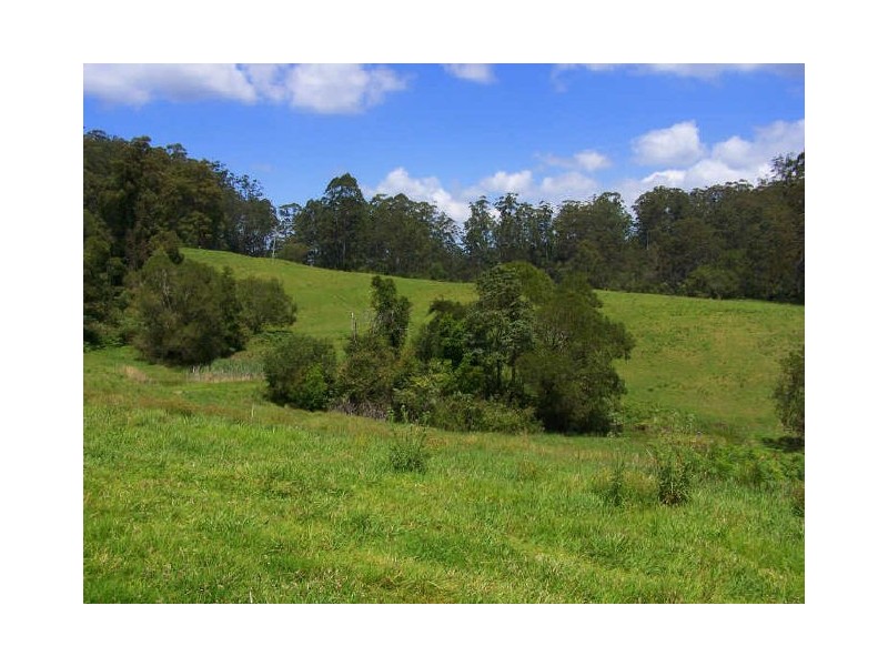 Lorne NSW 2439