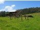 Lorne NSW 2439