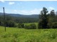 Lorne NSW 2439