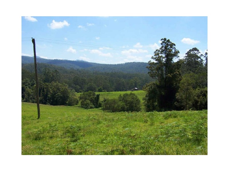 Lorne NSW 2439