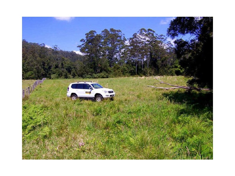 Lorne NSW 2439