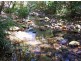 Lorne NSW 2439