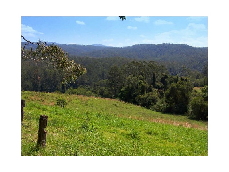 Lorne NSW 2439